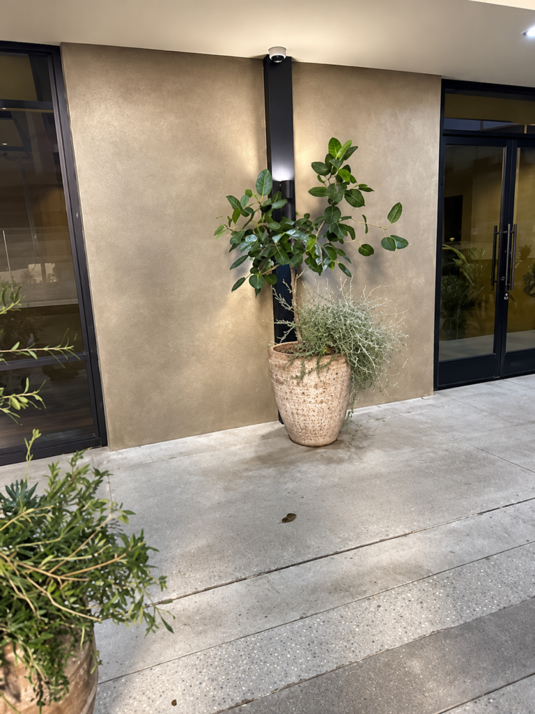 Smooth stucco finish at a residential entry with a potted plant